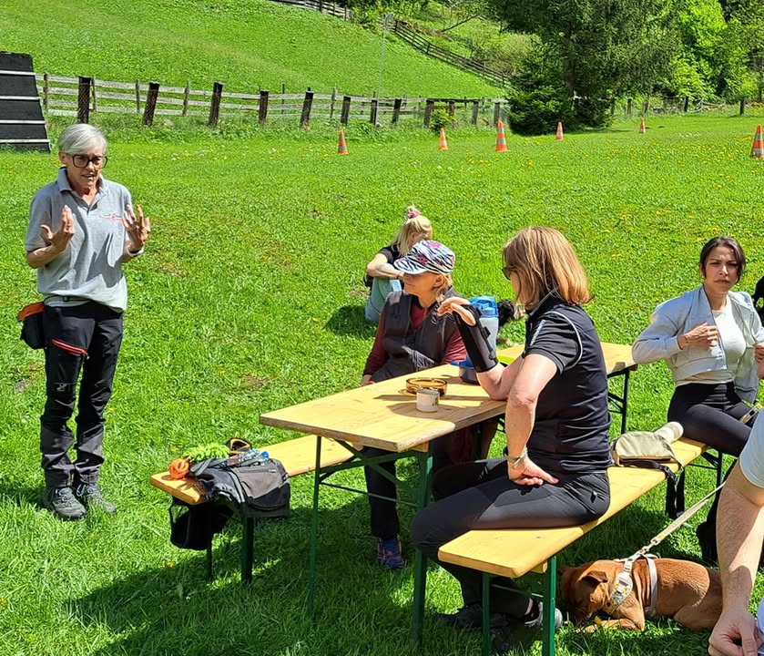 HSV ÖGV Hundesport Innsbruck