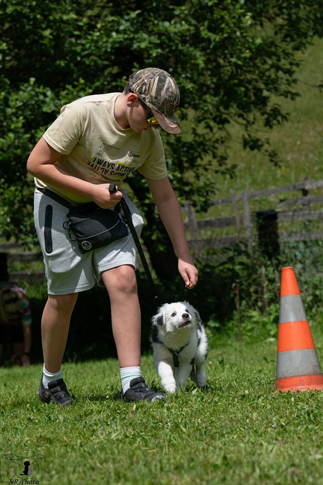HSV ÖGV Hundesport Innsbruck