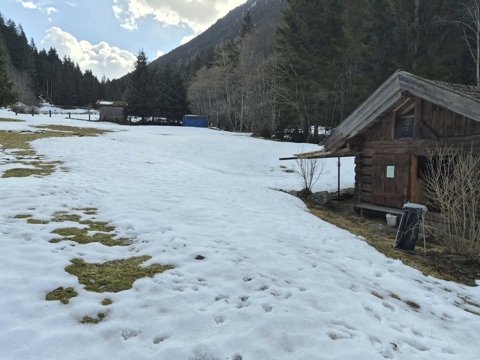 HSV ÖGV Hundesport Innsbruck