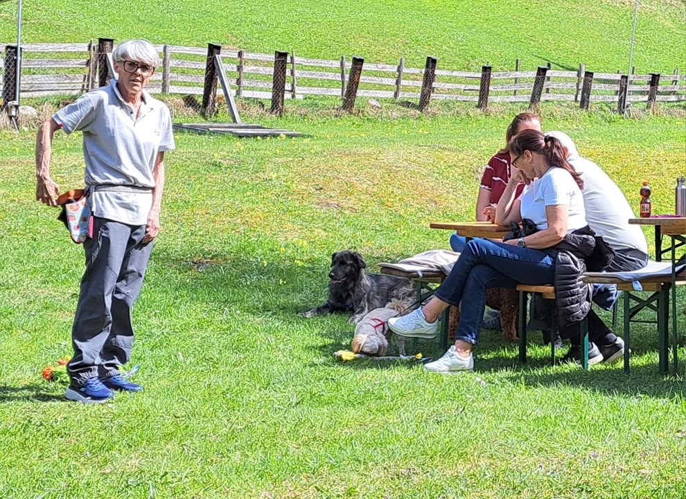 HSV ÖGV Hundesport Innsbruck