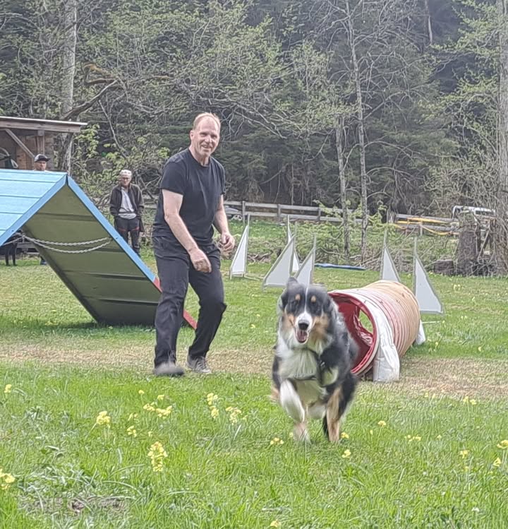 HSV ÖGV Hundesport Innsbruck