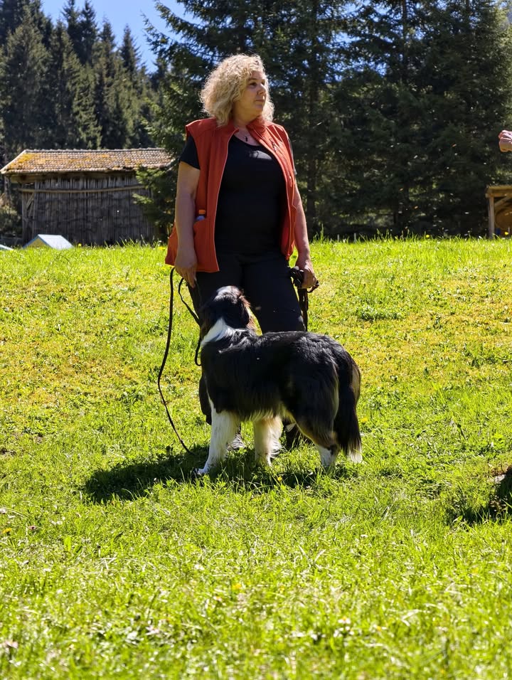HSV ÖGV Hundesport Innsbruck