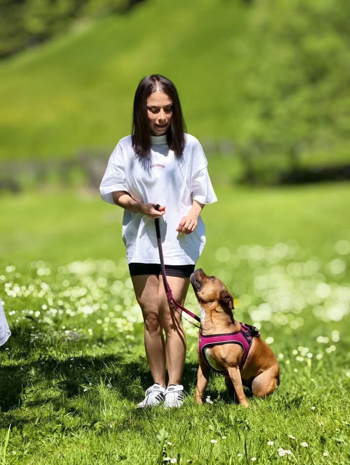 HSV ÖGV Hundesport Innsbruck