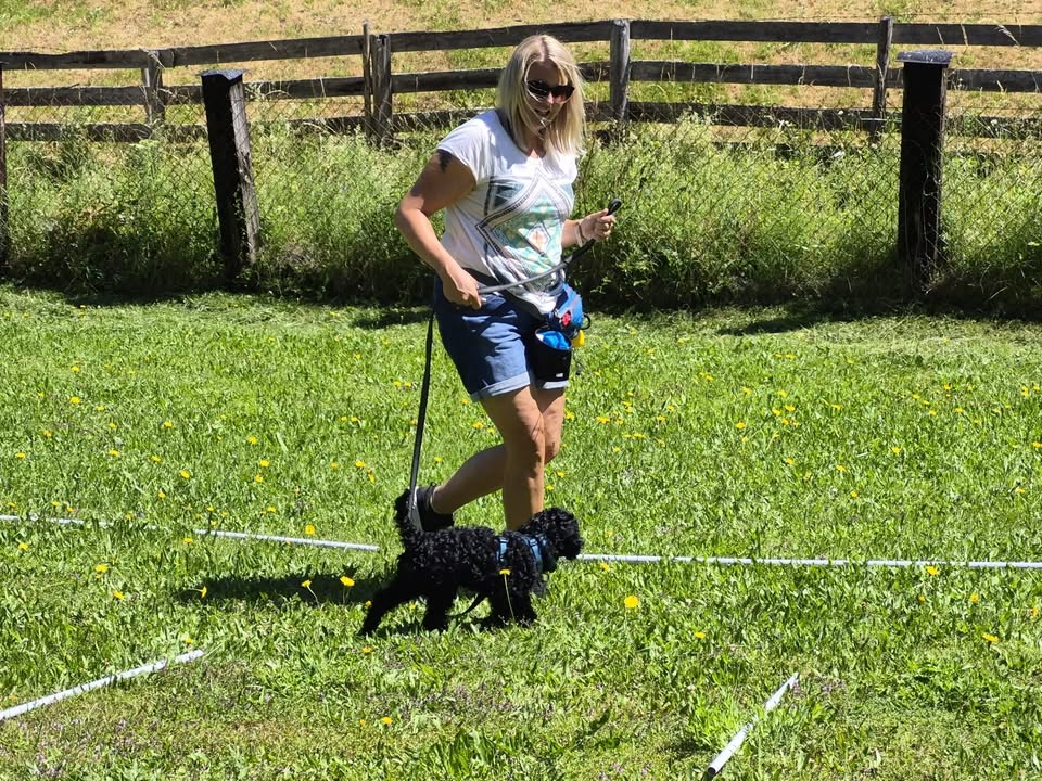 HSV ÖGV Hundesport Innsbruck