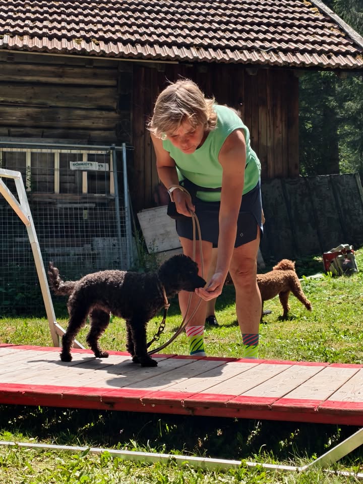 HSV ÖGV Hundesport Innsbruck