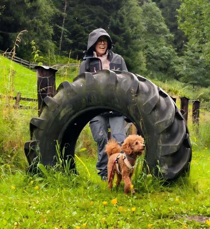 HSV ÖGV Hundesport Innsbruck