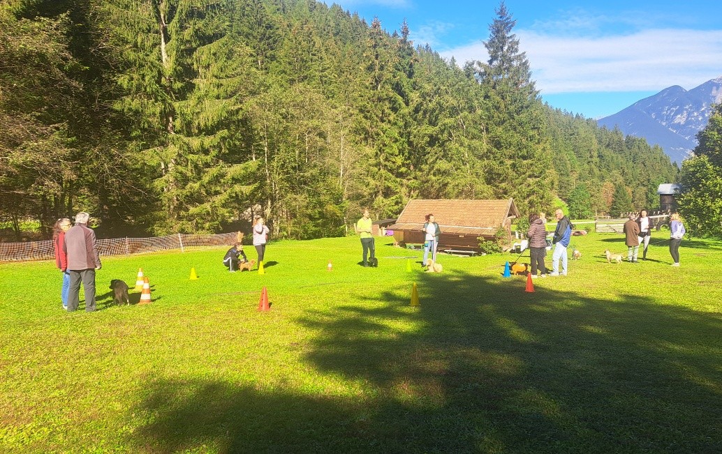 HSV ÖGV Hundesport Innsbruck
