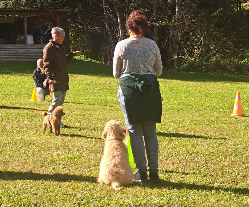 HSV ÖGV Hundesport Innsbruck